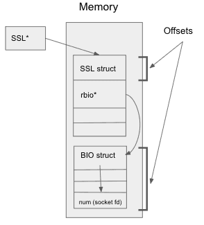 Layout of the SSL struct in memory. Note the two offsets needed to access the inner num member.