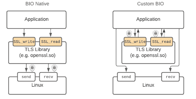 A side by side view of BIO native and custom BIO applications